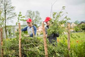 Anlage der neuen Kleinhabitate am Stiegl-Gut Wildshut.