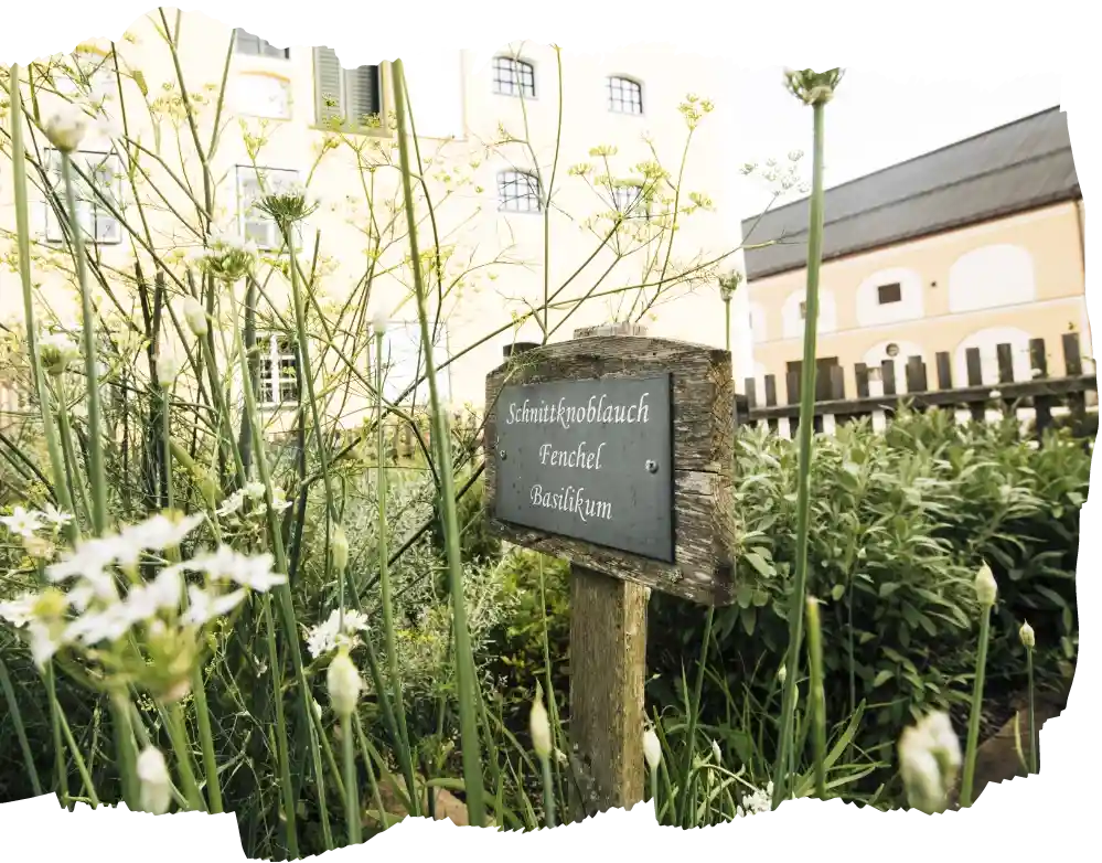 Der vielfaeltige Kraeutergarten der Bio Landwirtschaft auf dem Stiegl-Gut Wildshut