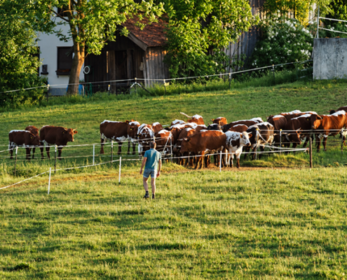Wildshut-Campus Symposium "Ethik und Wertschöpfung in der Landwirtschaft"